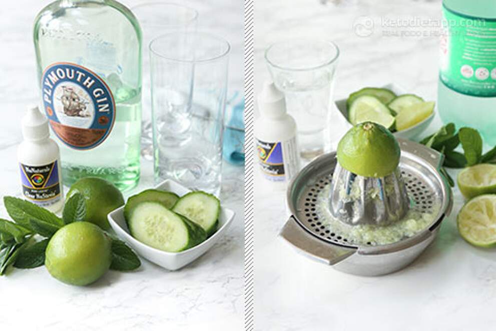 LowCarb Gin Fizz KetoDiet Blog