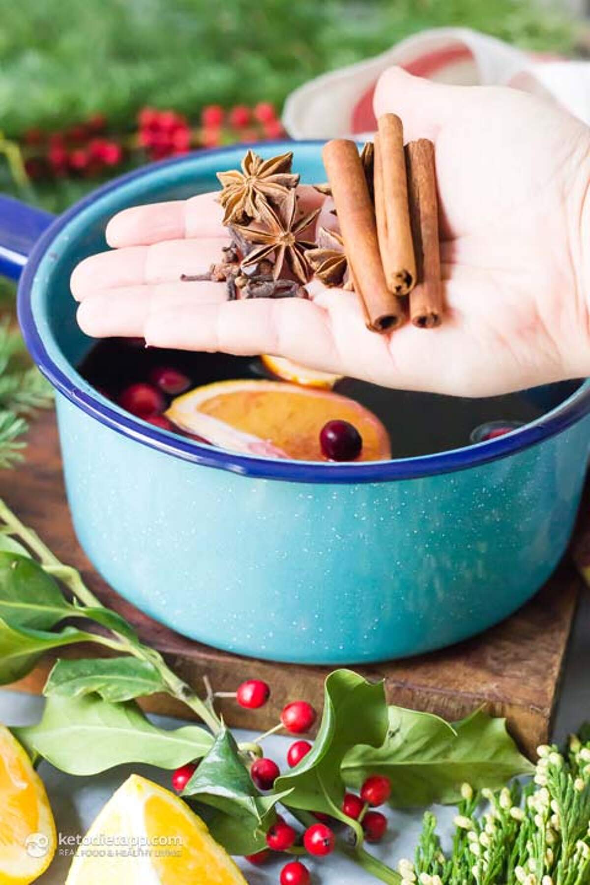 LowCarb Mulled Wine KetoDiet Blog