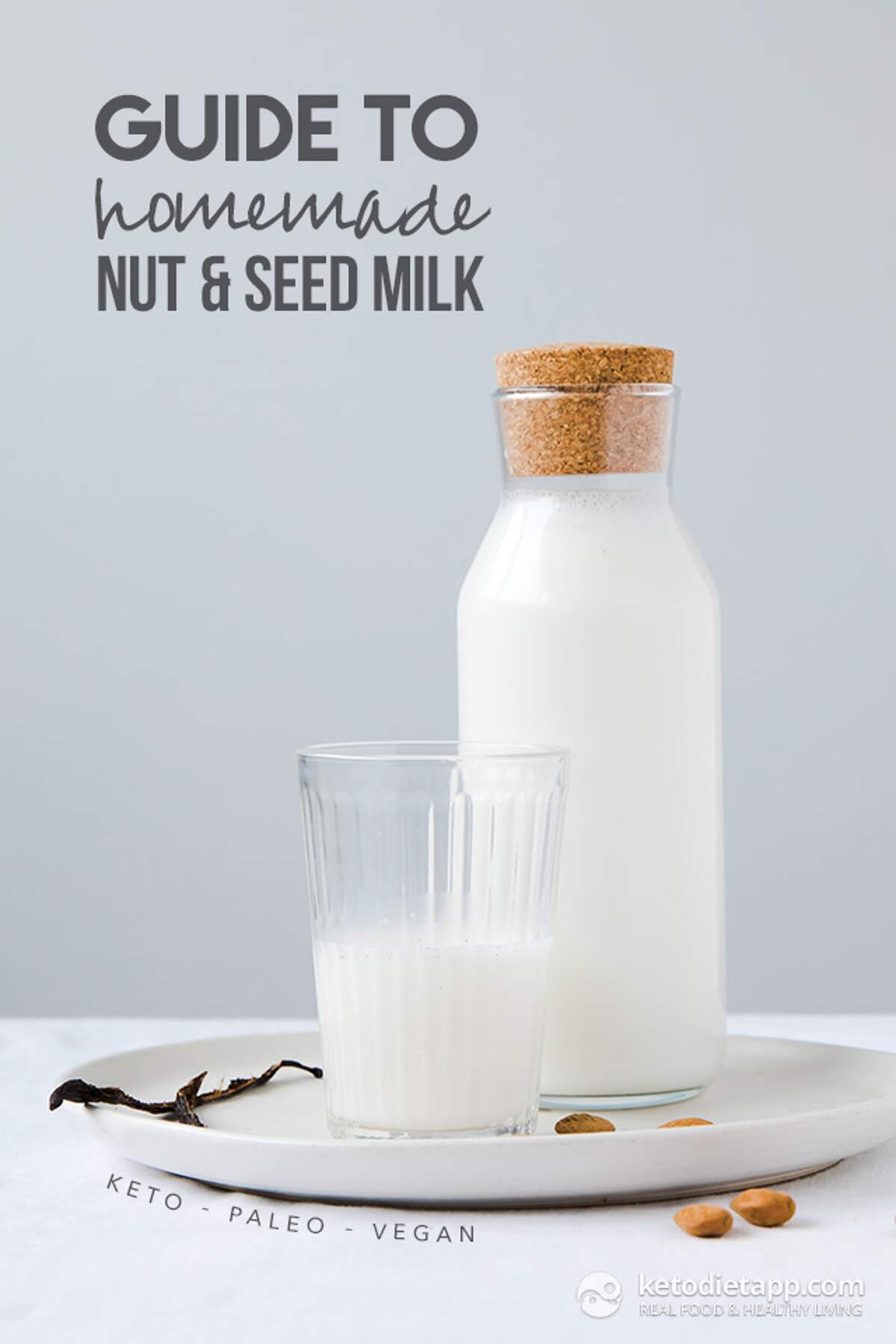 Complete Guide to Homemade Nut and Seed Milk KetoDiet Blog