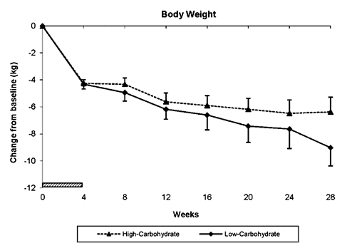 is-vegan-keto-possible-ketodiet-blog