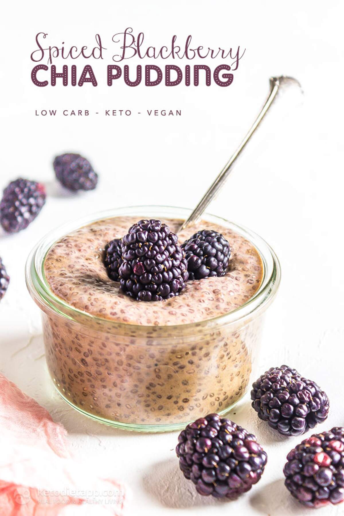 Keto Spiced Blackberry Chia Pudding KetoDiet Blog