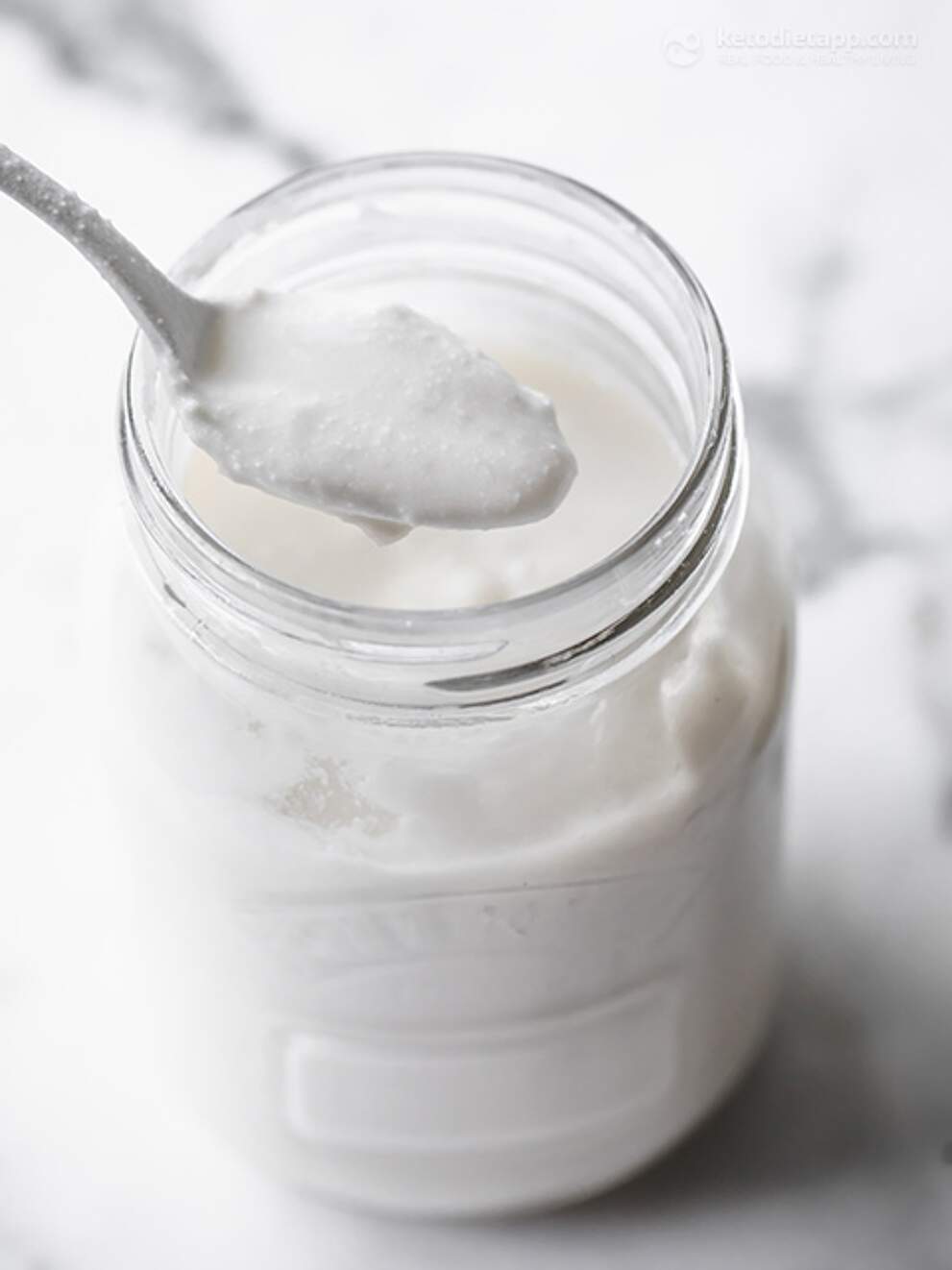 How To Make Coconut Yogurt at Home KetoDiet Blog