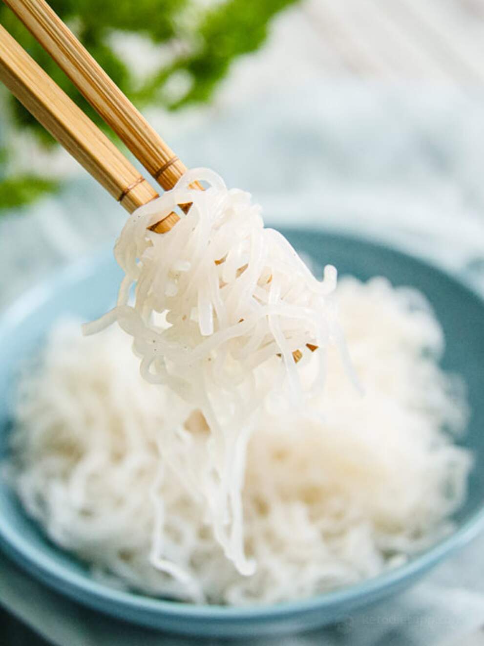 How To Cook & Like Shirataki Noodles KetoDiet Blog