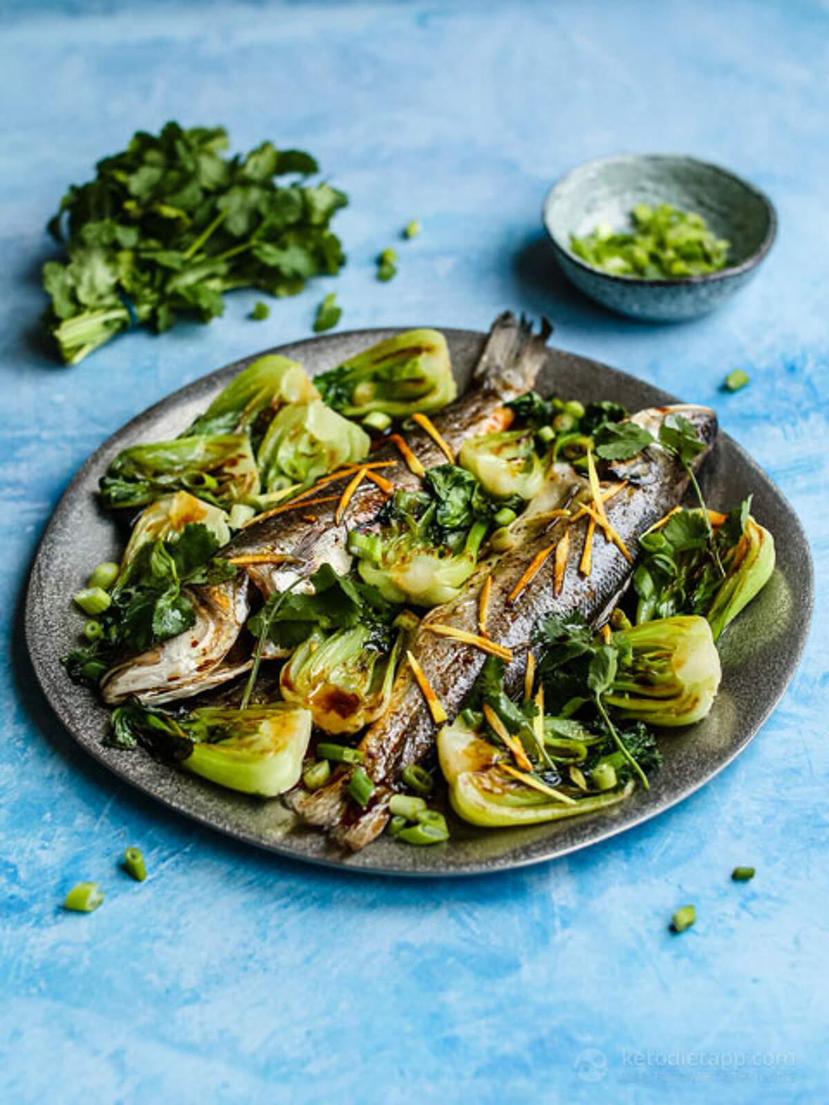 Cantonese Sea Bass with Bok Choy KetoDiet Blog