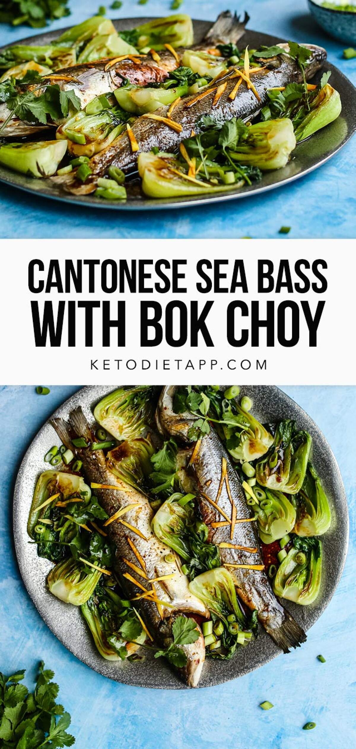 Cantonese Sea Bass with Bok Choy KetoDiet Blog