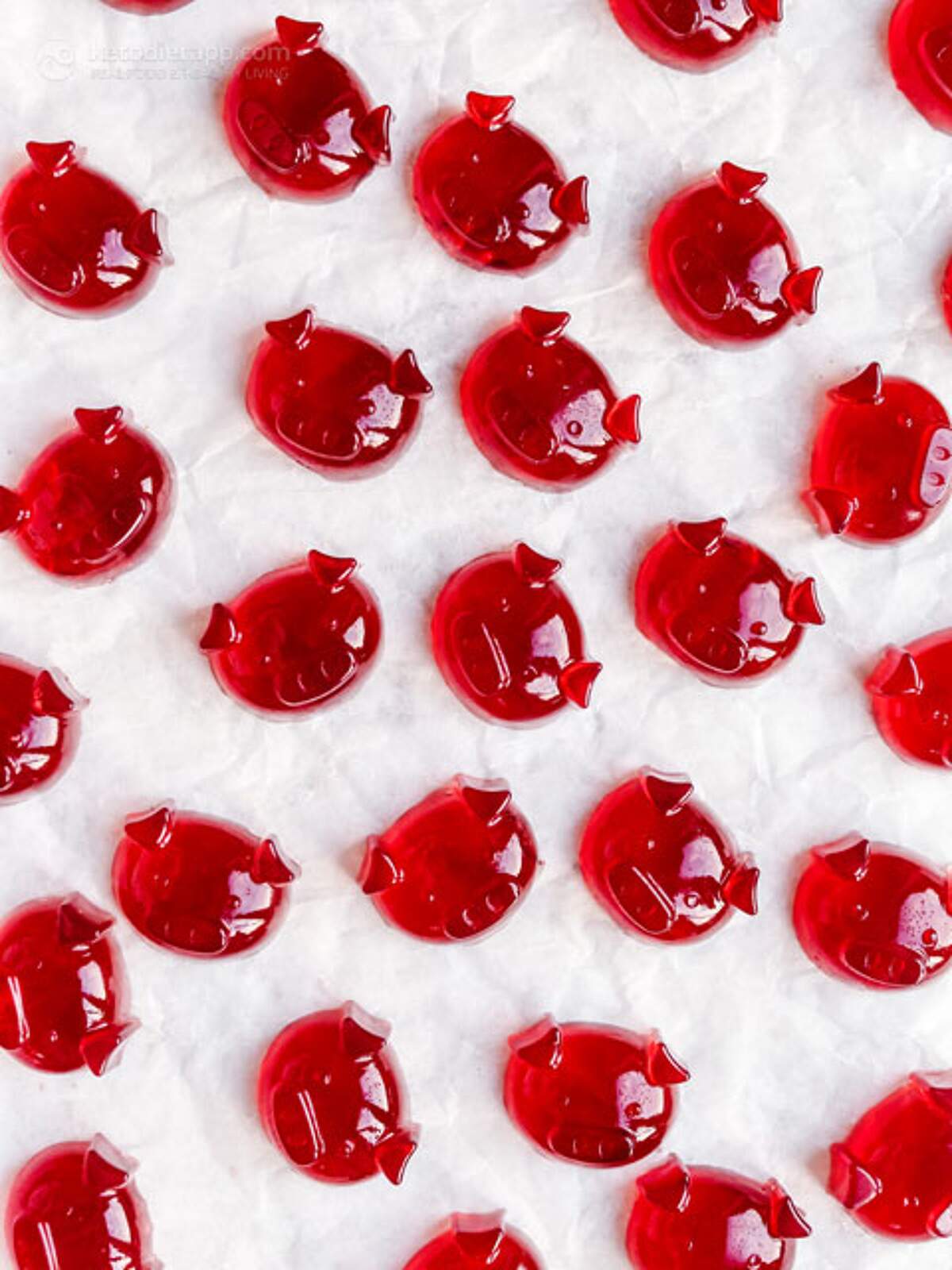 ZeroCarb Electrolyte Gummies KetoDiet Blog