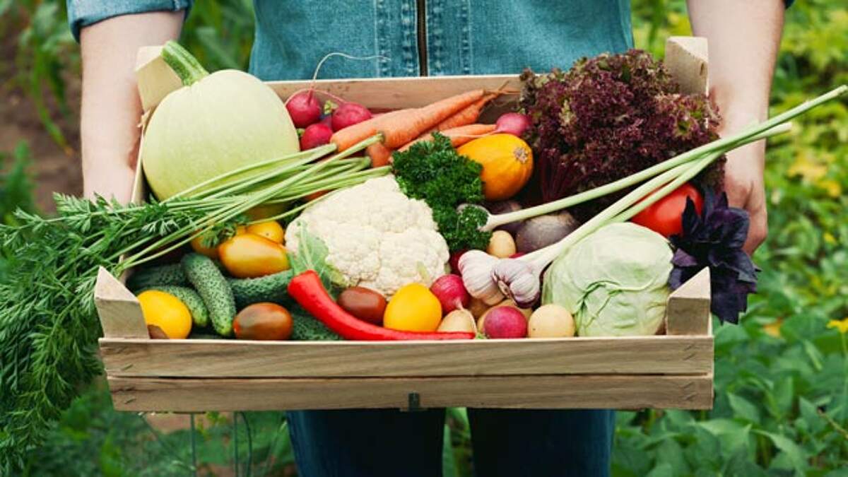 Should I Buy Organic Fruits and Vegetables? Your Ultimate Guide KetoDiet Blog