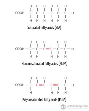Complete Guide to Fats & Oils on a Low-Carb Ketogenic Diet