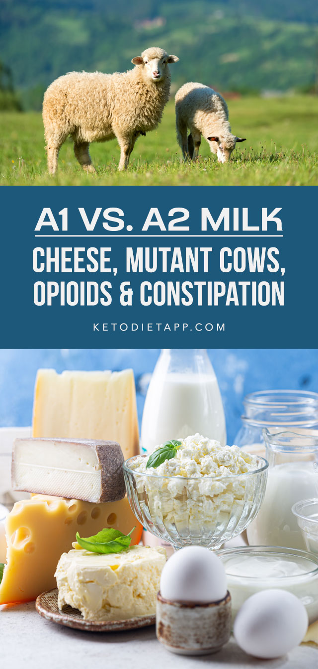 A1 vs. A2 Milk Cheese, Mutant Cows, Opioids & Constipation KetoDiet Blog