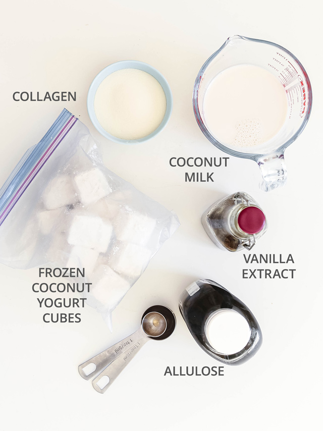 No Churn Keto Frozen Coconut Yogurt