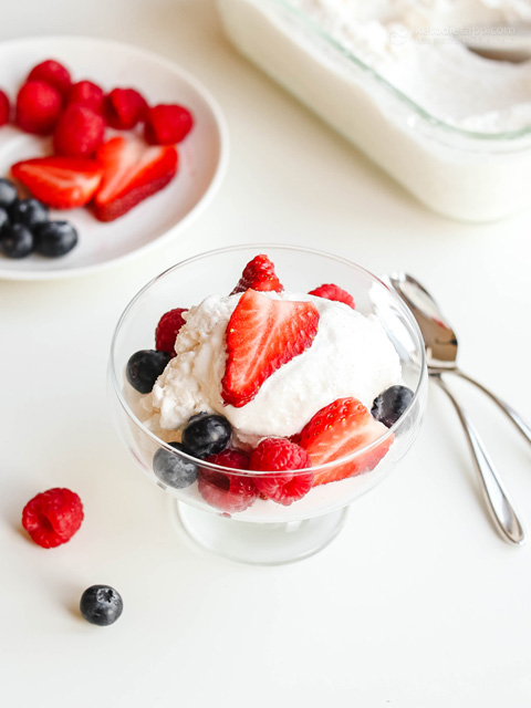 No Churn Keto Frozen Coconut Yogurt