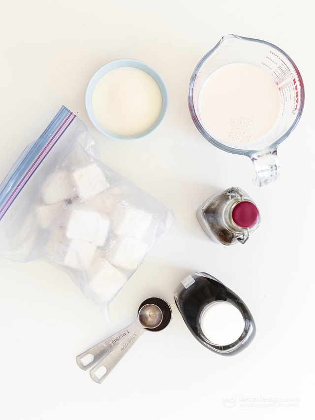 No Churn Keto Frozen Coconut Yogurt