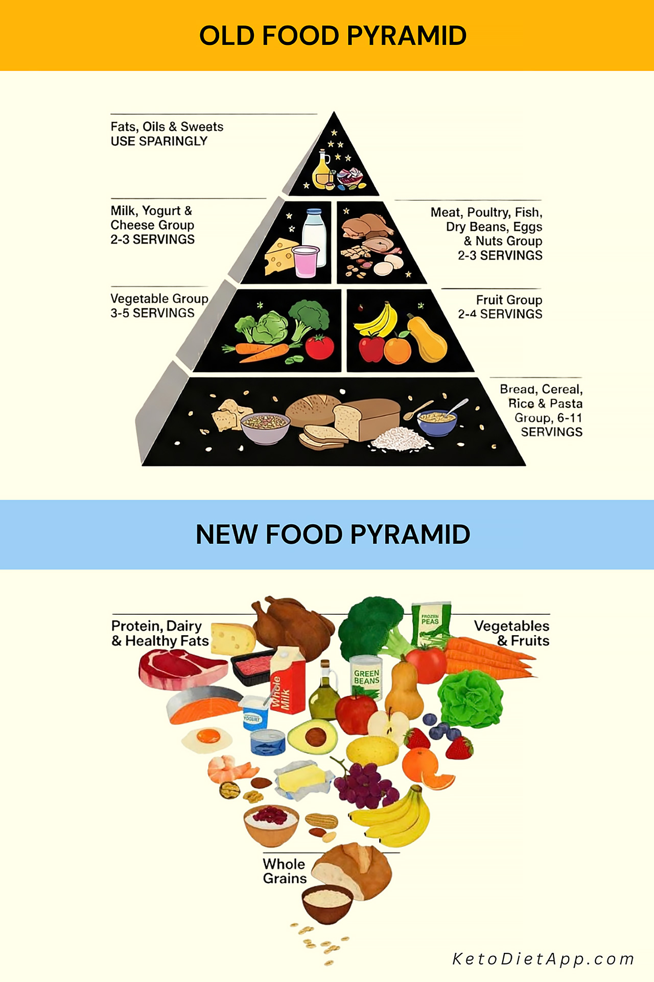 The Pyramid Just Flipped: Why the New "Real Food" Guidelines Change Everything