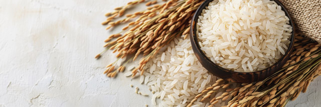Low-Carb Grain Swaps: What to Eat Instead of Rice, Quinoa, Couscous & Bulgur